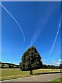 SK2570 : Solitary tree and contrails in Chatsworth Park by Graham Hogg