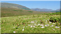 NY1803 : Prehistoric enclosure, hut circle and adjacent cairnfield by Mick Garratt