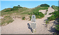 SS5388 : Dunes at Three Cliffs Bay by Des Blenkinsopp