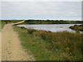 SZ3292 : Track over Pennington Marshes, near Lymington by Malc McDonald