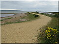 SZ3292 : Track along the bank of the Solent, near Lymington by Malc McDonald