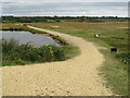 SZ3292 : Track across Pennington Marshes, near Lymington by Malc McDonald