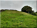 NZ6704 : Round Hill Iron Age hillfort by Mick Garratt