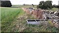 SE1291 : Trough on edge of grass field NE of Leyburn by Roger Templeman