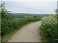 SE1146 : Millennium Way, Ilkley Moor by Malc McDonald