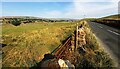 SD9189 : Field gateway to field with cows on north side of A684 at Borwins by Luke Shaw