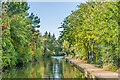 SP3481 : Coventry Canal by Ian Capper