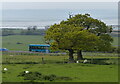 SH6572 : Bus on the A55 at Abergwyngregyn by Mat Fascione