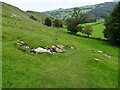 SK1351 : Spring on the side of Bunster Hill by Ian Calderwood