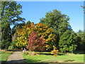 SE2754 : Autumn colour at Harlow Carr Gardens, Harrogate by Malc McDonald