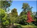 SE2753 : Autumn colour at Harlow Carr Gardens, Harrogate by Malc McDonald