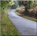 SO3400 : National Speed Limit signs, Glascoed, Monmouthshire by Jaggery