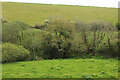 SX6446 : Streamside trees, Wiscombe by Derek Harper