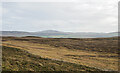 NX4964 : Shallow valley of the Torr Burn by Trevor Littlewood