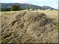 SO7844 : Cut grass on Malvern Common by Philip Halling