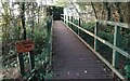 ST4240 : Boardwalk to Decoy Hide, Shapwick Heath by PAUL FARMER