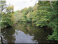 SE3457 : River Nidd near Knaresborough by Malc McDonald