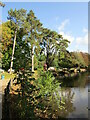 ST1880 : Cardiff - Roath Park Lake by Colin Smith