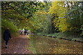 SJ6543 : Shropshire Union Canal, approaching Audlem lock 14 by Christopher Hilton