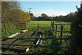 SX8376 : Sheep pasture by Little Bovey Lane by Derek Harper