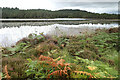 NH8906 : Shores of Loch Gamhna by Andy Waddington