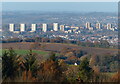 SO9380 : Tower blocks in Brierley Hill by Mat Fascione