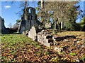 SJ6200 : The ruins of Much Wenlock Priory by Mat Fascione