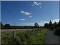 ST4454 : Strawberry Line north-west of Cheddar by David Smith