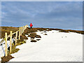 NZ0238 : Descent beside wooden fence by Trevor Littlewood