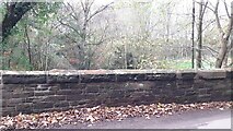  : West parapet of Sprunston Bridge over Pow Beck by Roger Templeman