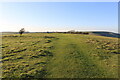 TQ5702 : Causeway crossing a ring of the causewayed enclosure, Coombe Hill by Adrian Diack