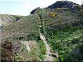 SM8333 : Pembrokeshire Coast Path crossing a small stream by Sandy Gerrard