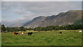 NY1203 : Wasdale View by Peter Trimming