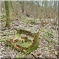 NZ5914 : Brick structure on the site of Bousdale brickworks by Mick Garratt