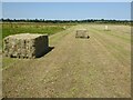 SO9137 : Hay bales in Twyning Meadow by Philip Halling