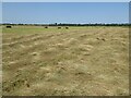 SO9137 : Haymaking in Twyning Meadow by Philip Halling