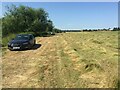 SO9137 : Fishermen's cars parked on Twyning Meadow by Philip Halling