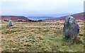 SO3098 : Mitchells Fold Stone Circle by Mat Fascione