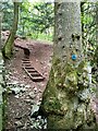 ST4765 : Steps in Goblin Coombe by PAUL FARMER