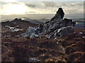 SO3698 : Rock outcrop on the Stiperstones by Mat Fascione