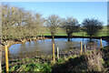 SU1142 : Dew Pond near Stonehenge by Des Blenkinsopp