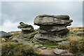 SK0789 : Gritstone Rocks next to the Pennine Way by Jeff Buck