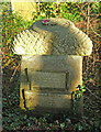 SX9371 : Pillar, Picket Head Hill by Derek Harper