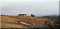 NZ0424 : Slope east of farm at Woolly Hill by Trevor Littlewood