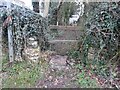 SO5707 : Stone Stile, Clearwell by Mr Red