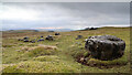 SD9365 : Limestone boulders on Tommy Low Pasture by Andy Waddington