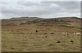 SO5784 : Walkers inside the Nordy Bank Iron Age hill fort by Mat Fascione