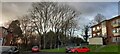 ST2986 : Trees with ash die back, Gaer Estate, Newport by Robin Drayton