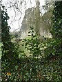 SJ6200 : Wenlock Priory - Ethereal ruins and snowdrops by Rob Farrow