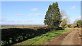 SO7692 : Byway and Shropshire farmland west of Woundale by Roger  D Kidd